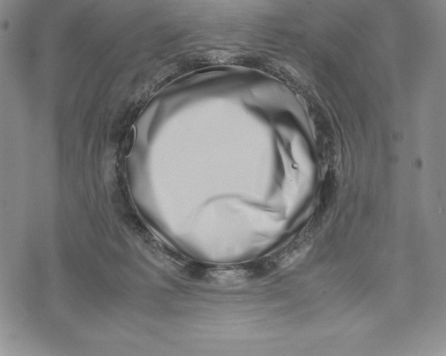 X0000072500221200608041449