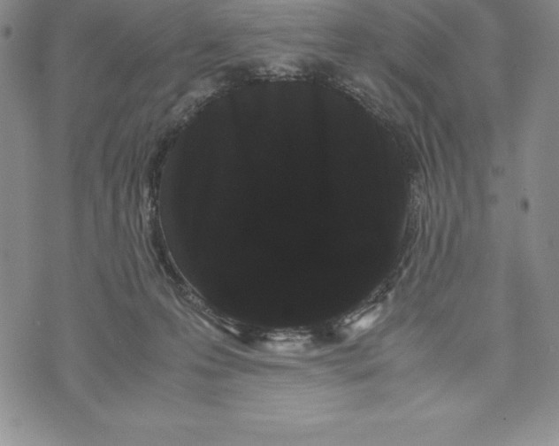 X0000072500223200608041449