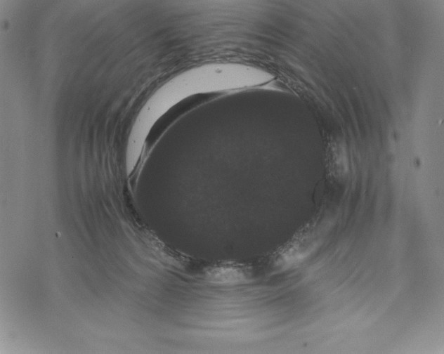 X0000072500224200608041449