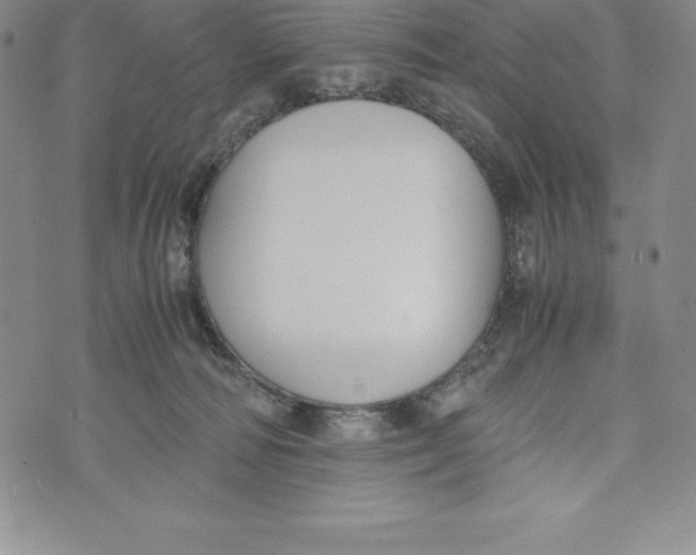 X0000072500226200608041449