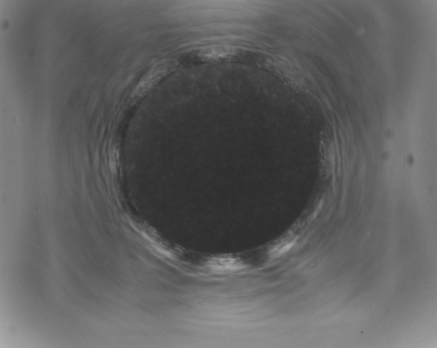 X0000072500227200608041449