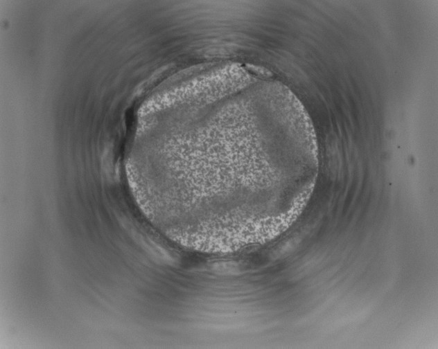 X0000072500228200608041449