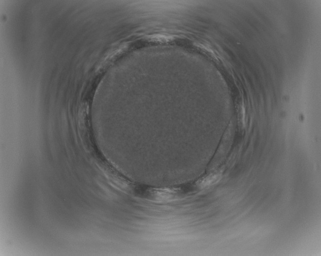 X0000072500229200608041449