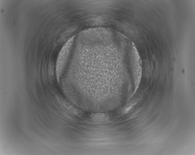 X0000072500230200608041449