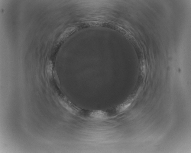 X0000072500231200608041449