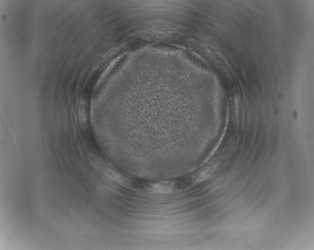 X0000072500232200608041449