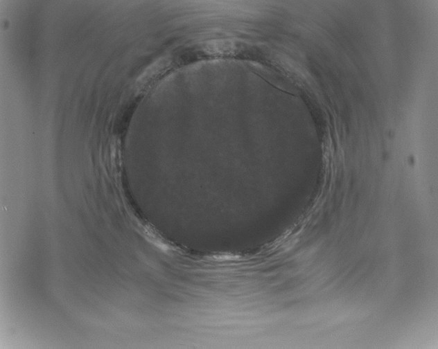 X0000072500233200608041449