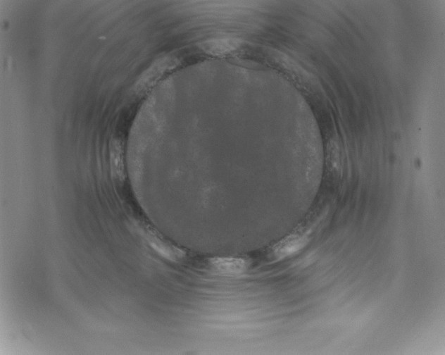 X0000072500234200608041449