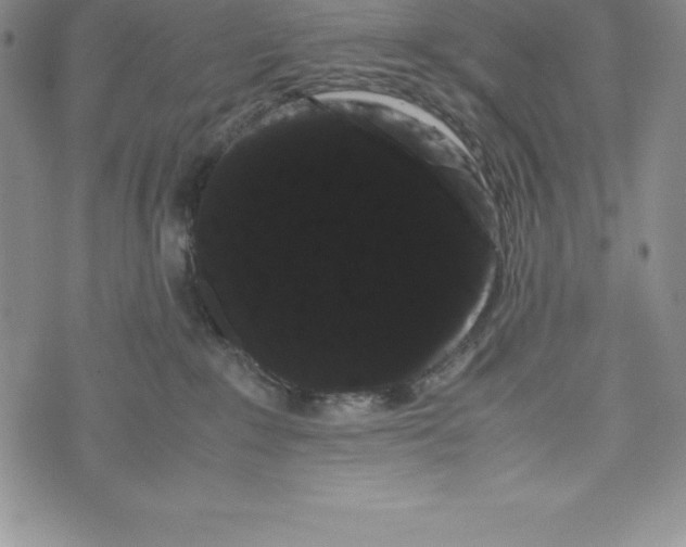 X0000072500235200608041449