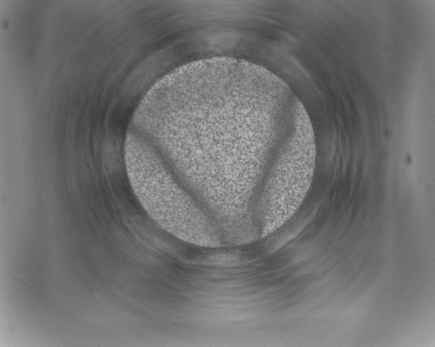 X0000072500236200608041449