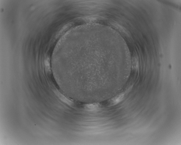 X0000072500238200608041449