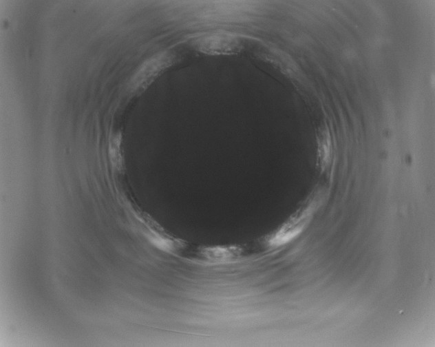 X0000072500239200608041449