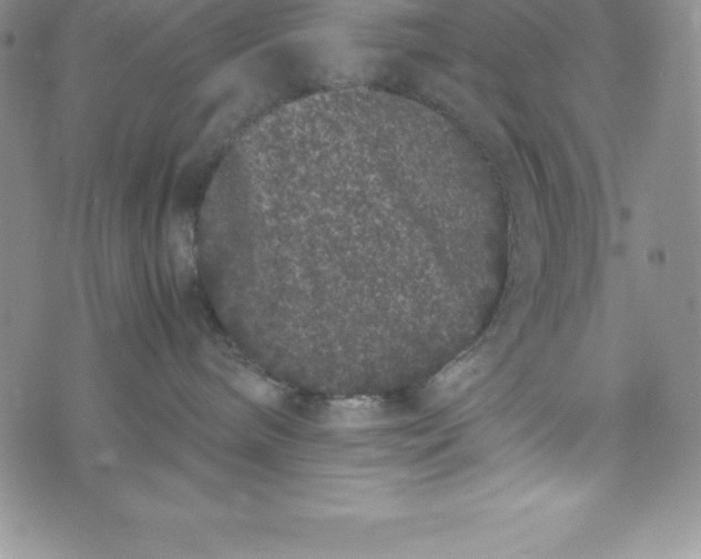 X0000072500240200608041449