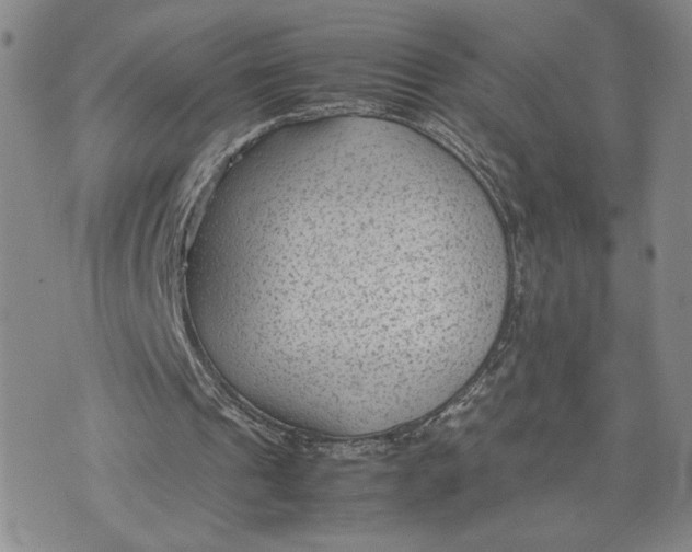 X0000072500241200608041448