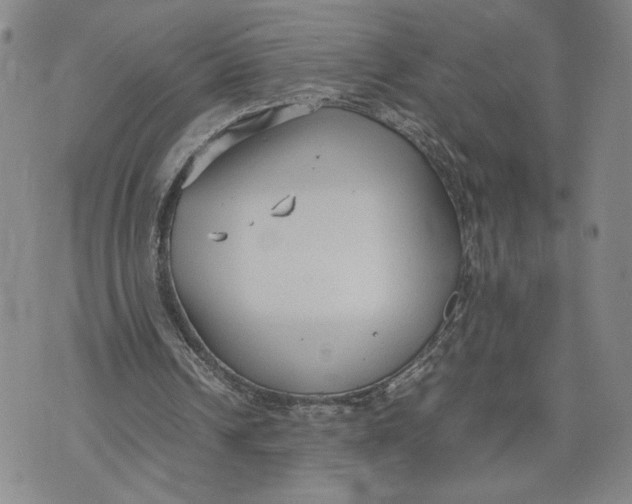 X0000072500242200608041448