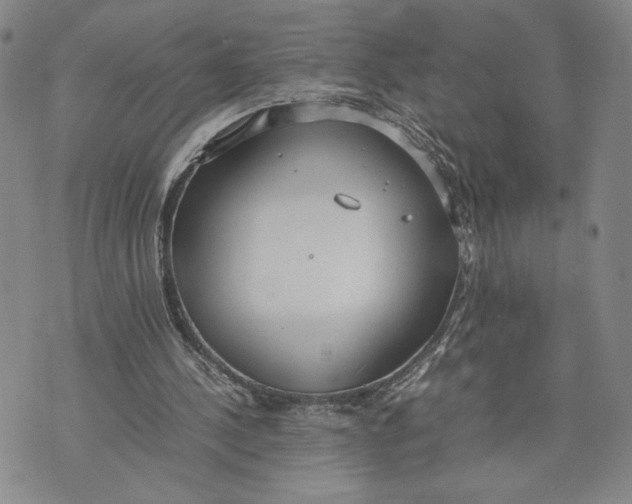 X0000072500244200608041448