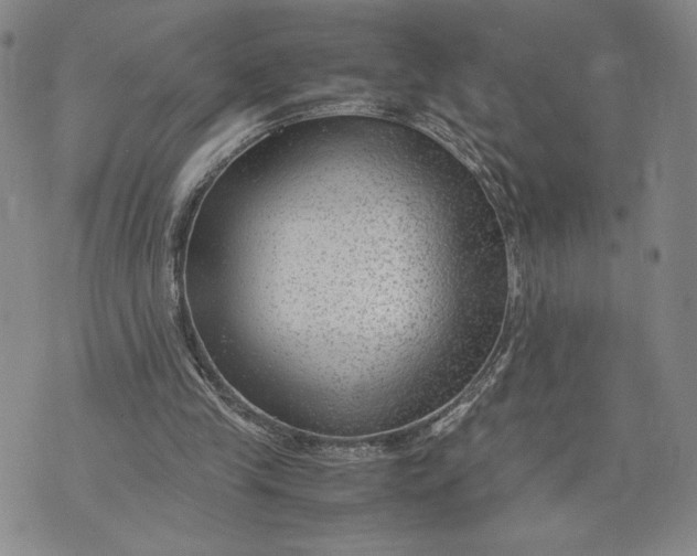 X0000072500245200608041448