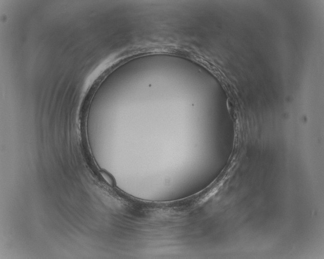 X0000072500246200608041448