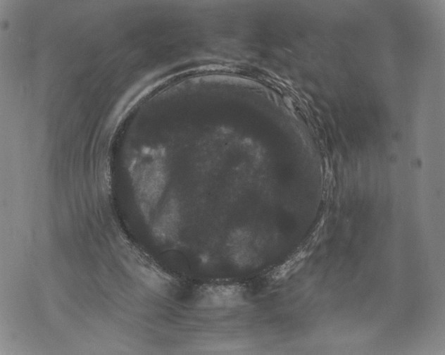 X0000072500247200608041448