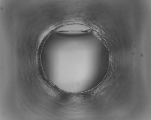 X0000072500248200608041448