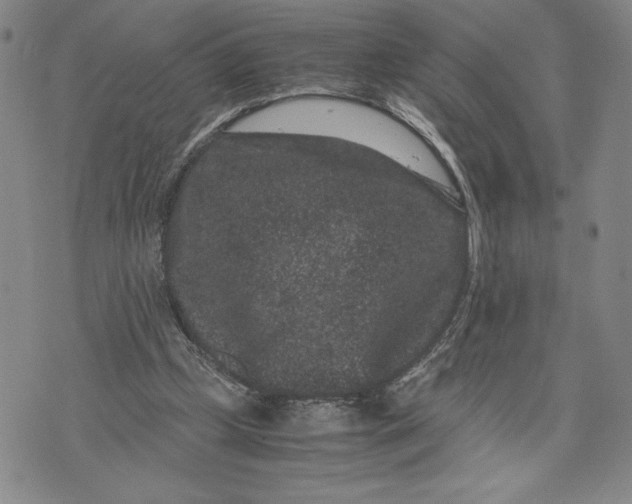 X0000072500249200608041448