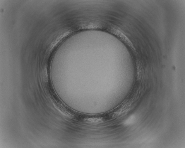 X0000072500251200608041448