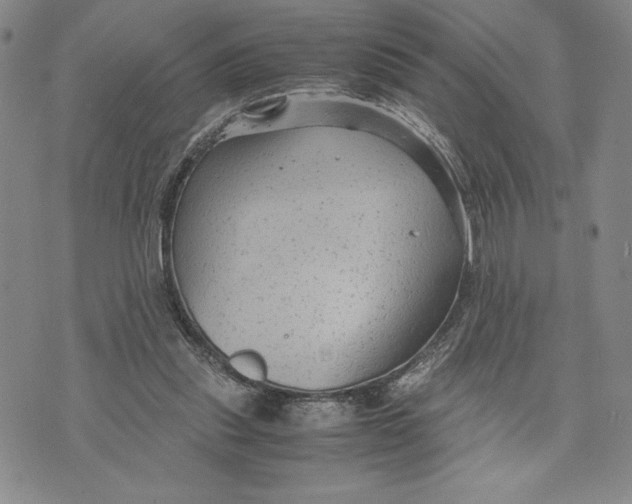 X0000072500253200608041448