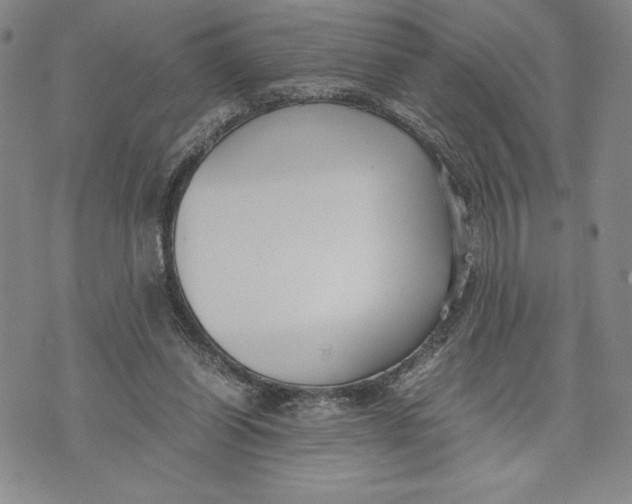 X0000072500254200608041448