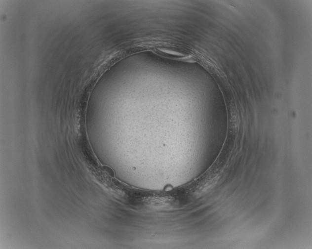 X0000072500255200608041448