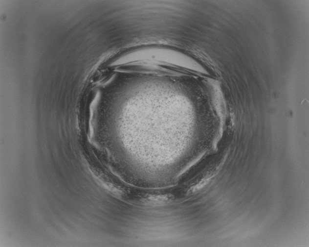 X0000072500256200608041448