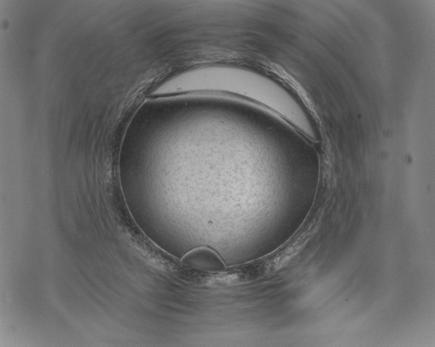 X0000072500257200608041448