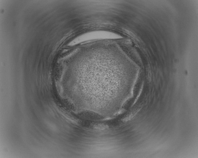 X0000072500258200608041448