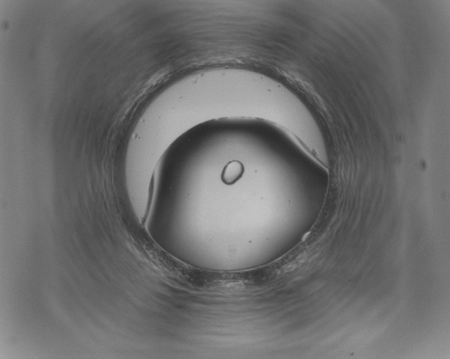 X0000072500260200608041448