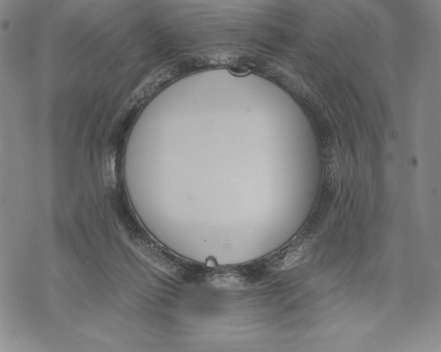 X0000072500262200608041448