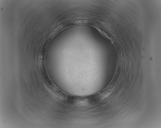 X0000072500263200608041448