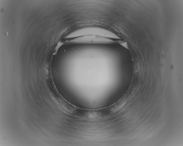 X0000072500264200608041448