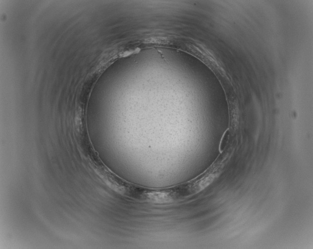 X0000072500265200608041449