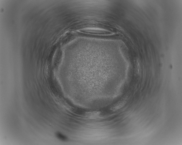 X0000072500266200608041449