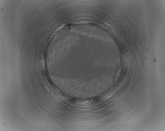 X0000072500267200608041449