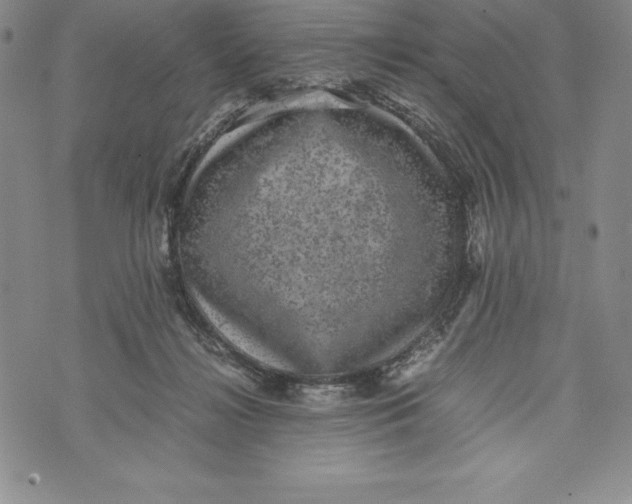 X0000072500268200608041449