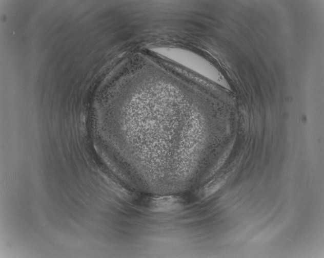 X0000072500269200608041449