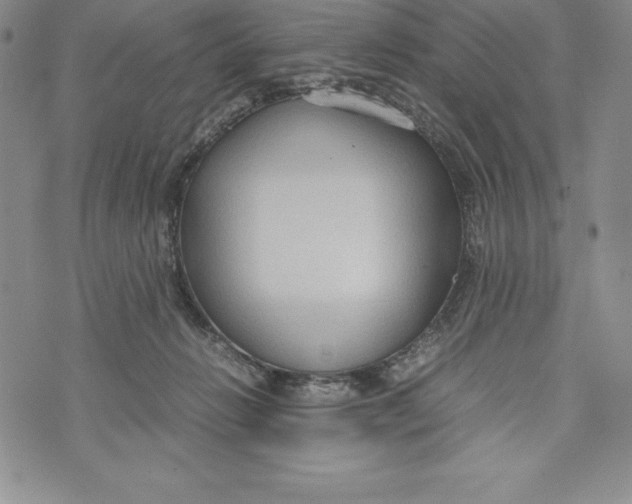 X0000072500270200608041449