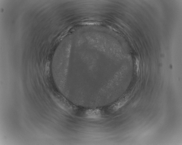 X0000072500271200608041449