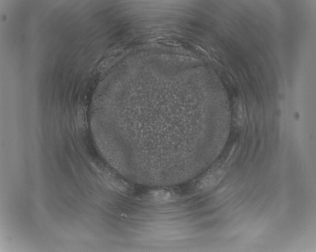 X0000072500272200608041449