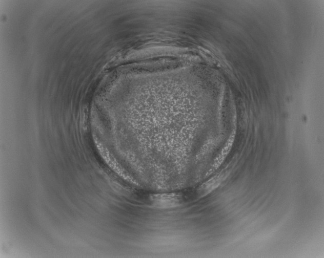 X0000072500273200608041449