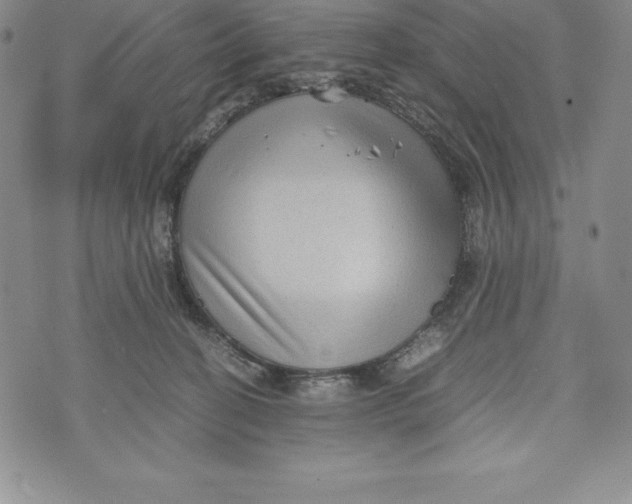 X0000072500274200608041449