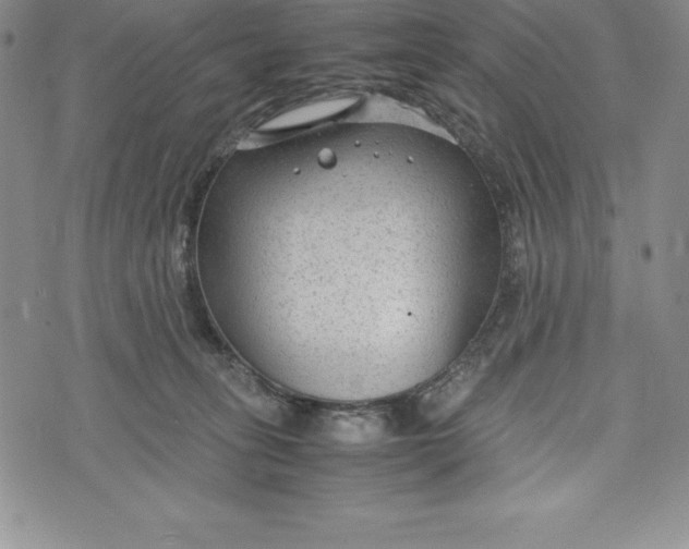 X0000072500275200608041449