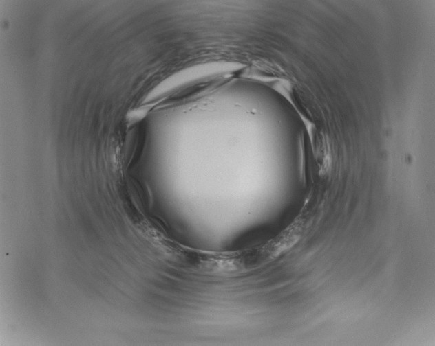 X0000072500276200608041449