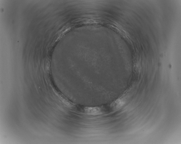 X0000072500277200608041449