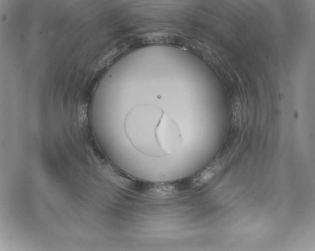 X0000072500278200608041449